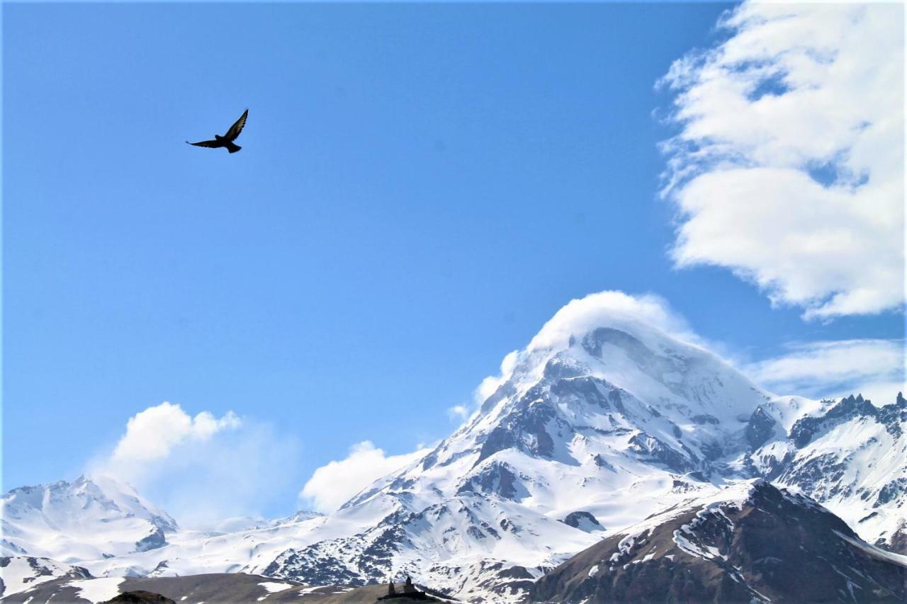 Hotel Noa Kazbegi Εξωτερικό φωτογραφία